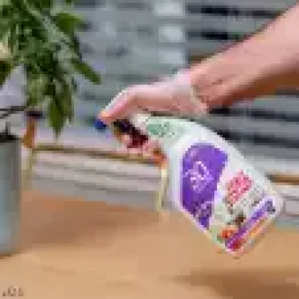 Surface Cleaners
