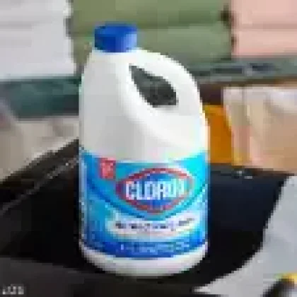 Disinfectants & Bleach