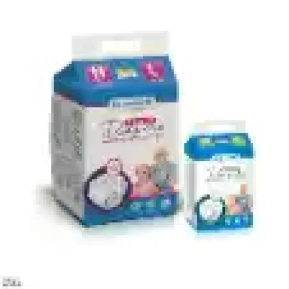 Adult Care & Hygiene