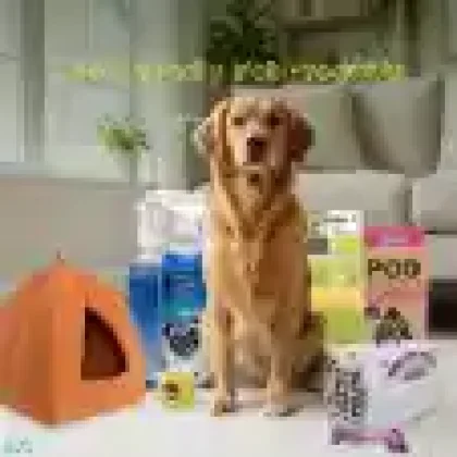 Pet Care