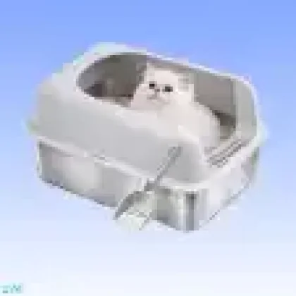 Litter & Hygiene