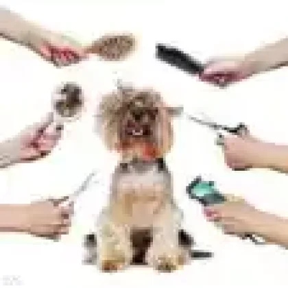 Grooming & Health
