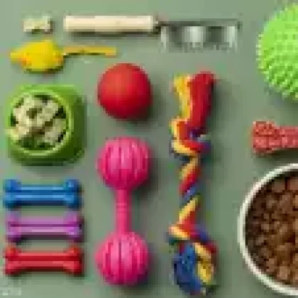 Accessories & Toys